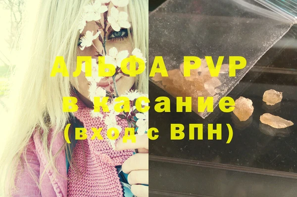 прущие грибы Дмитриев