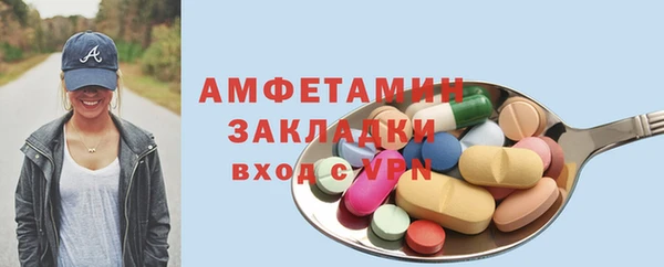 прущие грибы Дмитриев