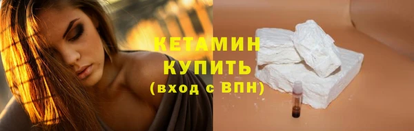 прущие грибы Дмитриев