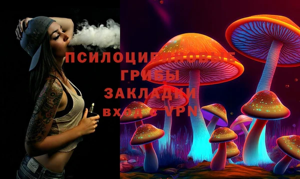 apvp Дмитров