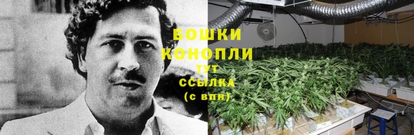 apvp Дмитров