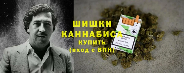 не бодяженный Гусев