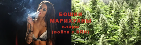 прущие грибы Дмитриев
