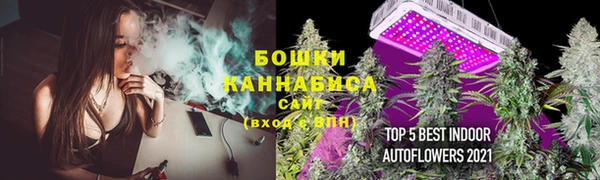 прущие грибы Дмитриев