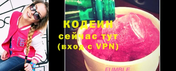 прущие грибы Дмитриев