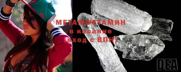 прущие грибы Дмитриев