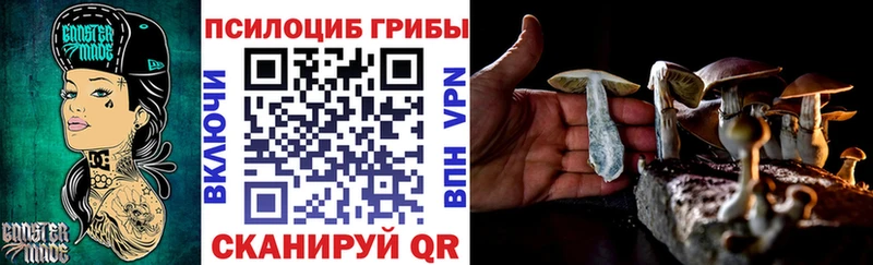 Купить закладки  Бабаево  Псилоцибиновые грибы мухоморы 